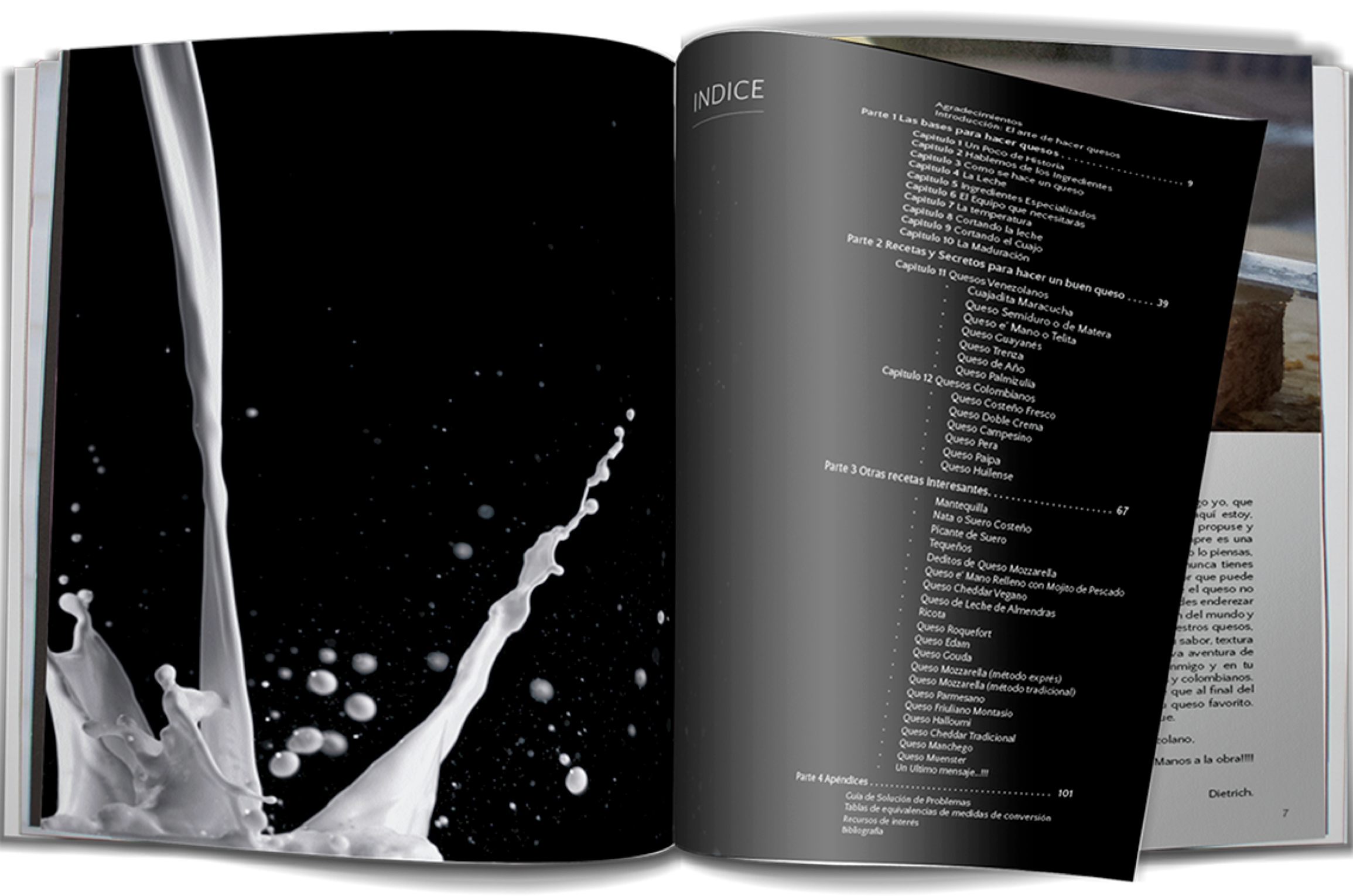 Adela.Garcia.EditorialDesign